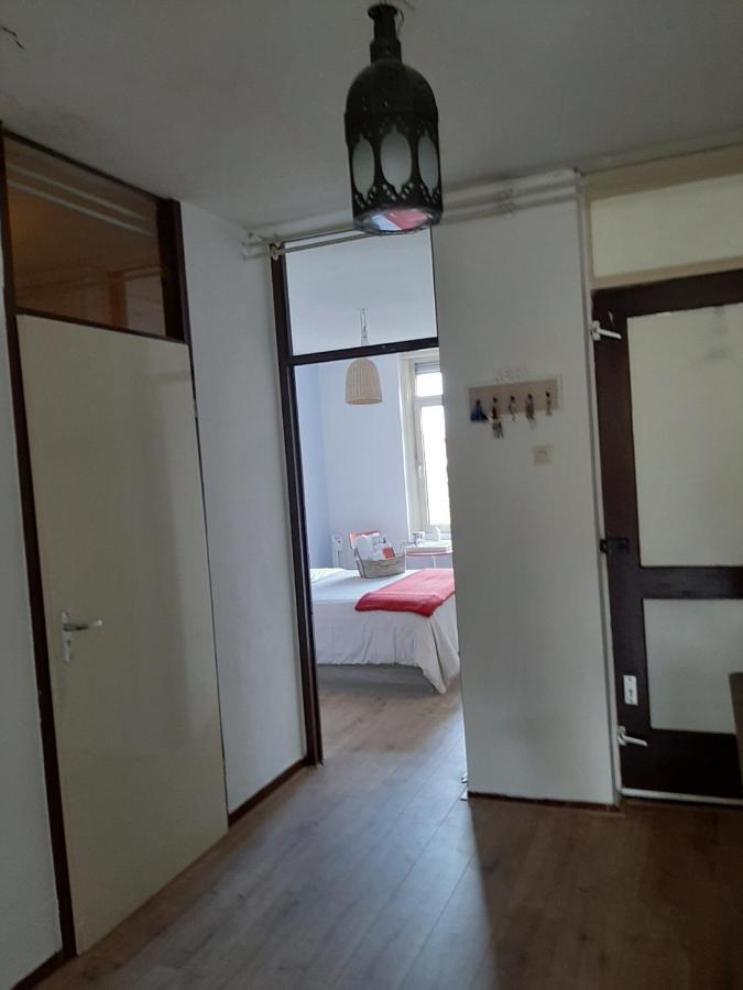 אמסטרדם El Camino B&B מראה חיצוני תמונה